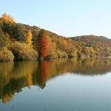 Herbst 2012 005 : Rosarium am See